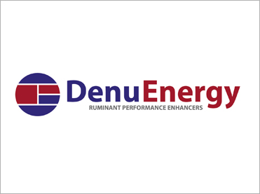 DenuEnergy